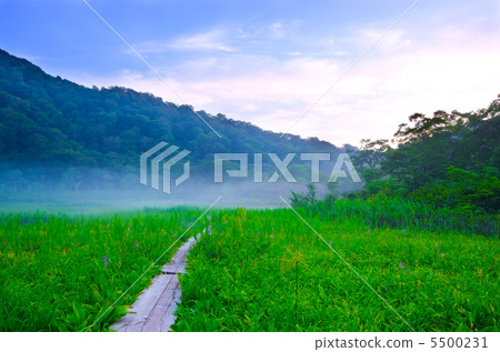 Tata Miyoshi Mire，秋田縣世界遺產白神山 5500231