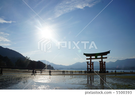 [廣島縣]宮島大鳥居 5500393