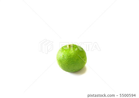 新鮮的卡沃斯 5500594