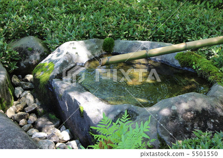 Summer cool Summer cool 5501550