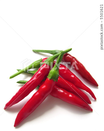 辣椒 5501621