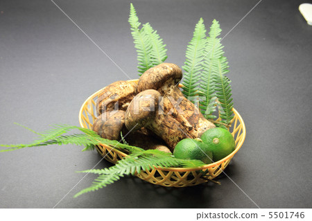 Matsutake Matsutake 5501746