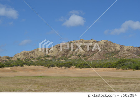 Diamond Head 5502094