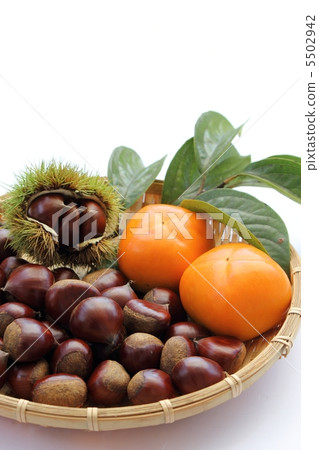 板栗和柿子 5502942
