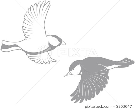 bird  5503047