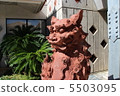 SHISA SHISA 5503095