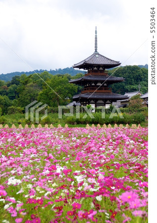 Collaboration between Legoji and Cosmos 5503464