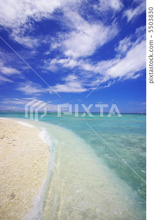 白色沙子海灘和藍天沖繩島 白色沙子海灘和藍天沖繩島 5503830