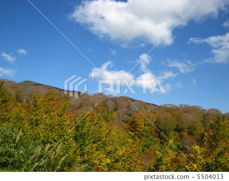 Tsukiyama · autumn leaves 5504013