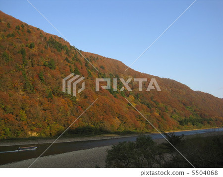 Mogami Stream · autumn leaves Mogami Stream · autumn leaves 5504068