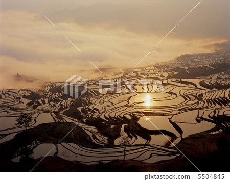 Asahi of Masayuki Tadada 5504845