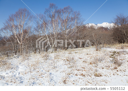 Autumn and forest with forests visible Autumn and forest with forests visible 5505112