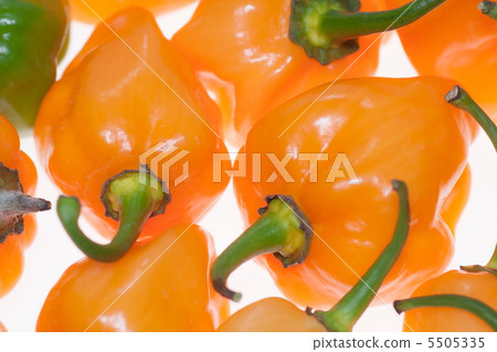 阿巴內羅 阿巴內羅 5505335