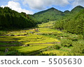 Rice terraces 5505630