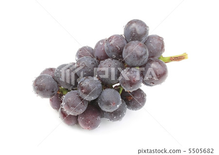 葡萄 5505682