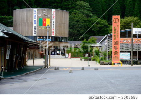 Taiyun Jinshan 5505685