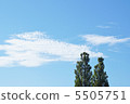 Blue sky and poplar 5505751