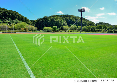 Grass ground 5506026