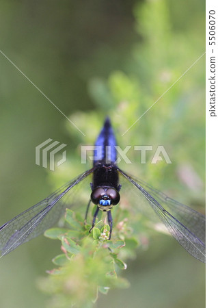 Harassetry Harassetry 5506070