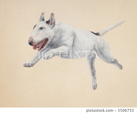 image bouncing image bouncing 5506733