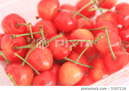 Tenka Nishiki 5507116