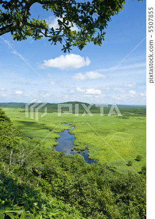 釧路沼澤 5507855