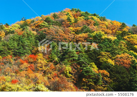 A coloring mountain A coloring mountain 5508176