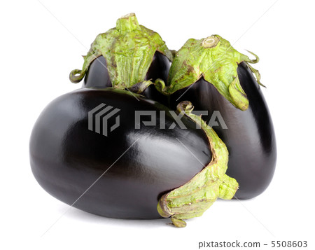 Eggplants isolated on white background Eggplants isolated on white background 5508603