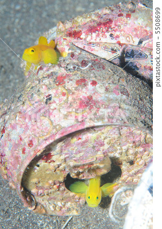 Residents of empty cans 5508699