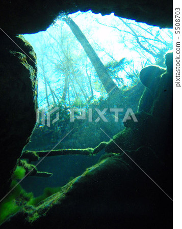 Different world 5508703