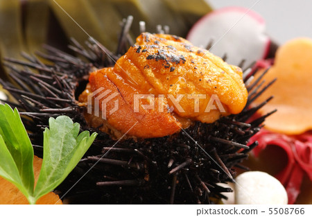 From Hokkaido · Murasaki Sea Urchin 5508766