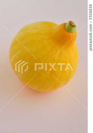 南瓜 南瓜 5508838