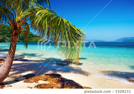 Tropical beach, Thailand 5509231