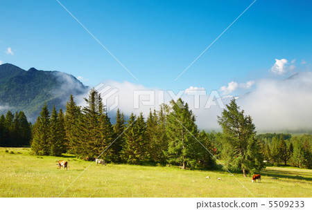 Mountain landscape 5509233