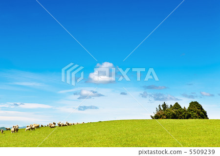 Green field and blue sky 5509239
