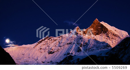 Mount Machhapuchhre in Nepal Mount Machhapuchhre in Nepal 5509269