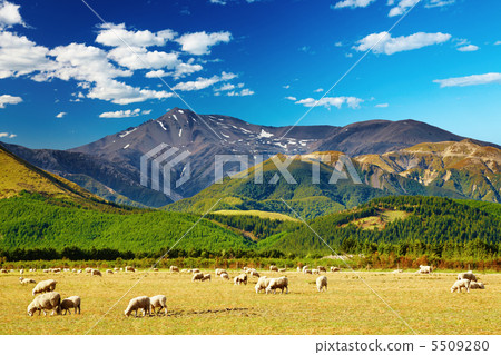 Mountain landscape, New Zealand 5509280
