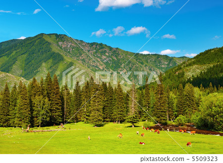 Mountain landscape Mountain landscape 5509323