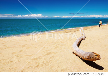 Coastal view 5509349