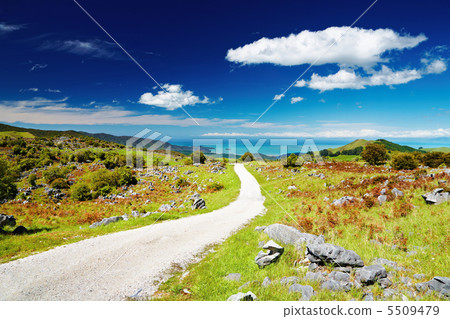 Abel Tasman National Park, New Zealand Abel Tasman National Park, New Zealand 5509479