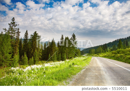 Landscape with forest and road Landscape with forest and road 5510011