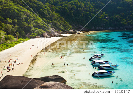 Tropical beach Tropical beach 5510147