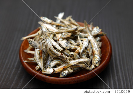 小幹沙丁魚 5510659