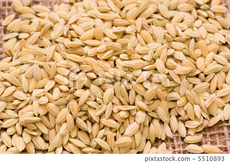 Rice flour Rice flour 5510893