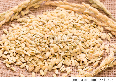 Rice flour 5510897
