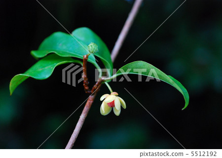 Sunny spot Sunny spot 5512192