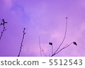 Dead branches and dragonfly 5512543
