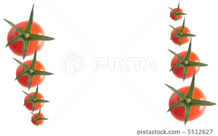 蕃茄 5512627