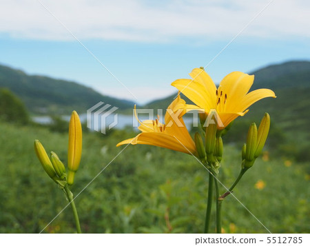 Kissing of Nogu lake 5512785