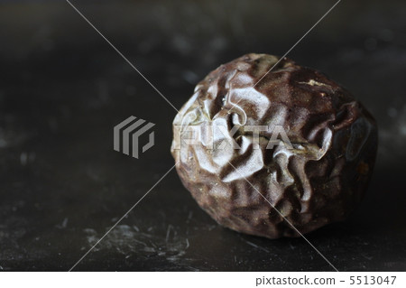 passion fruit  5513047